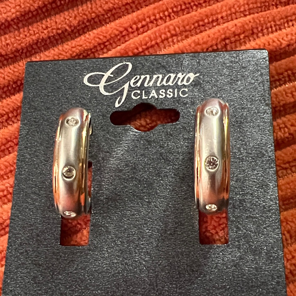 315 Gennaro Classic Silver And Gold Hoop Earrings Lot 160 8$